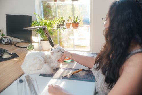 Ellie - Home Office with Pet Cat - Emotional Support Animal - Lady Petting Cat